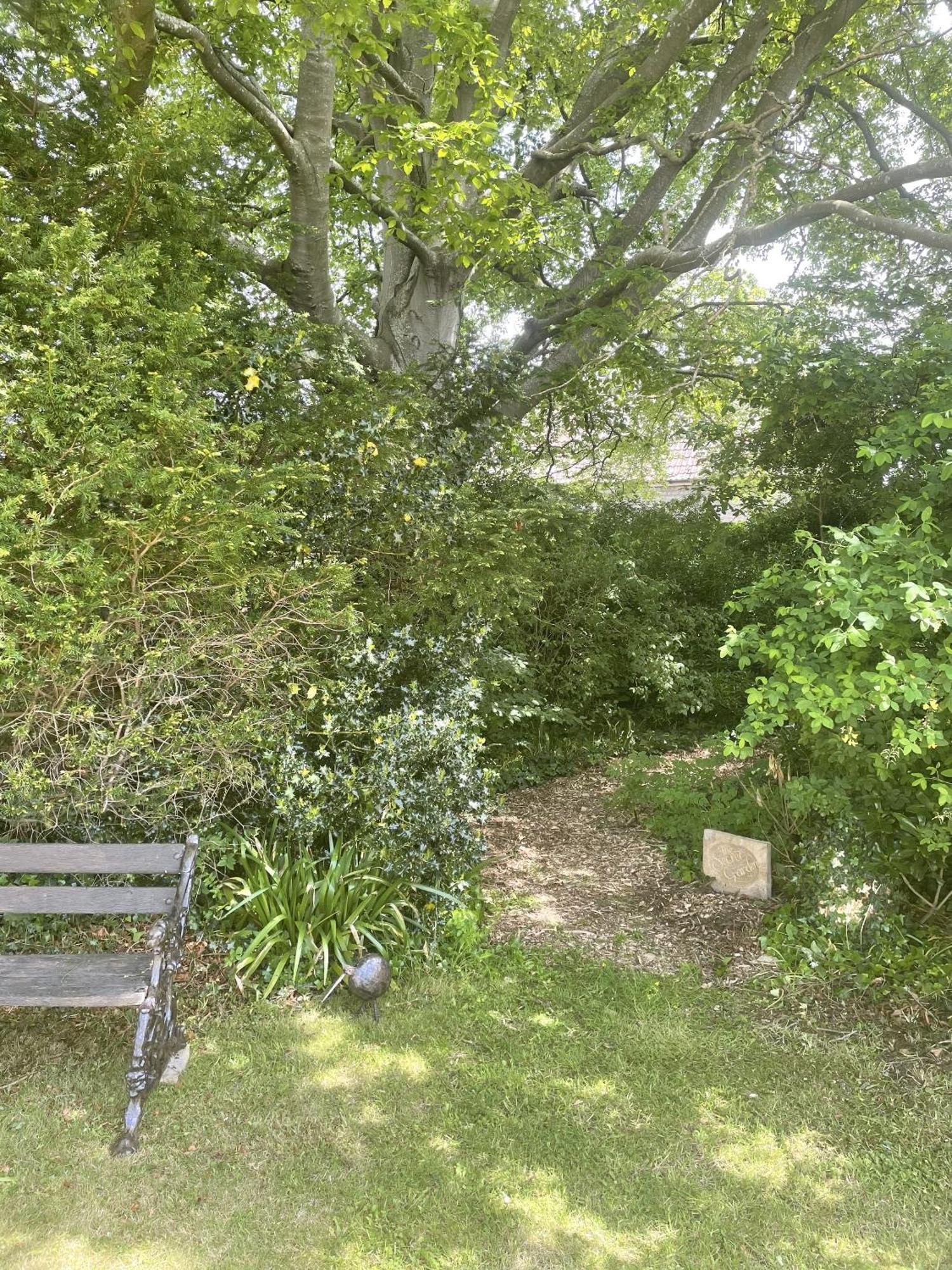The Mount Somerton Retreat - Nr Bruton, Glastonbury, The Spectacular Wells Cathedral, Millfield School, Leonardo Helicopters, Yeovilton Kültér fotó
