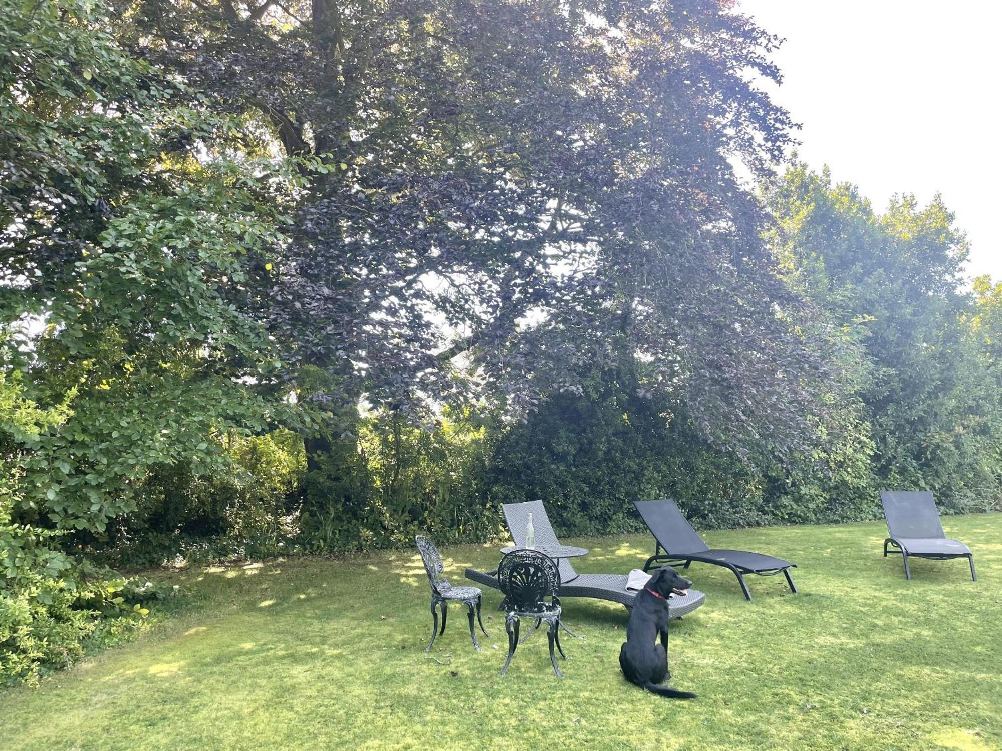 The Mount Somerton Retreat - Nr Bruton, Glastonbury, The Spectacular Wells Cathedral, Millfield School, Leonardo Helicopters, Yeovilton Kültér fotó
